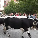 De La Fecht Casa vacanze *