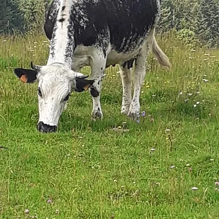 De La Fecht Hébergement de vacances