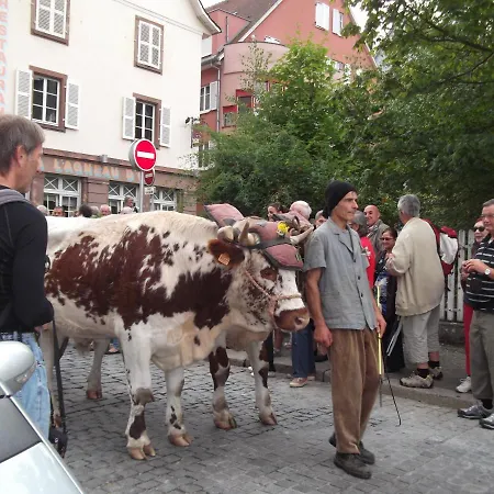 Nyaraló De La Fecht *