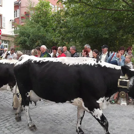 De La Fecht Nyaraló *