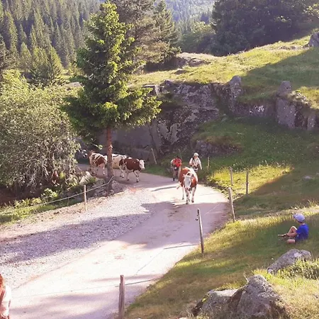 De La Fecht Munster (Haut-Rhin)